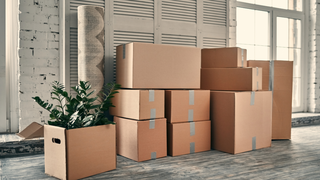 boxes